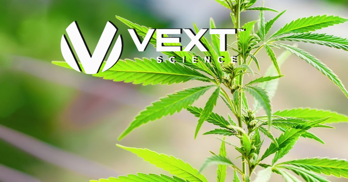 Analysts rate Vext Science Inc(VEXT:TSX) with a Strong Buy rating and a $1 target