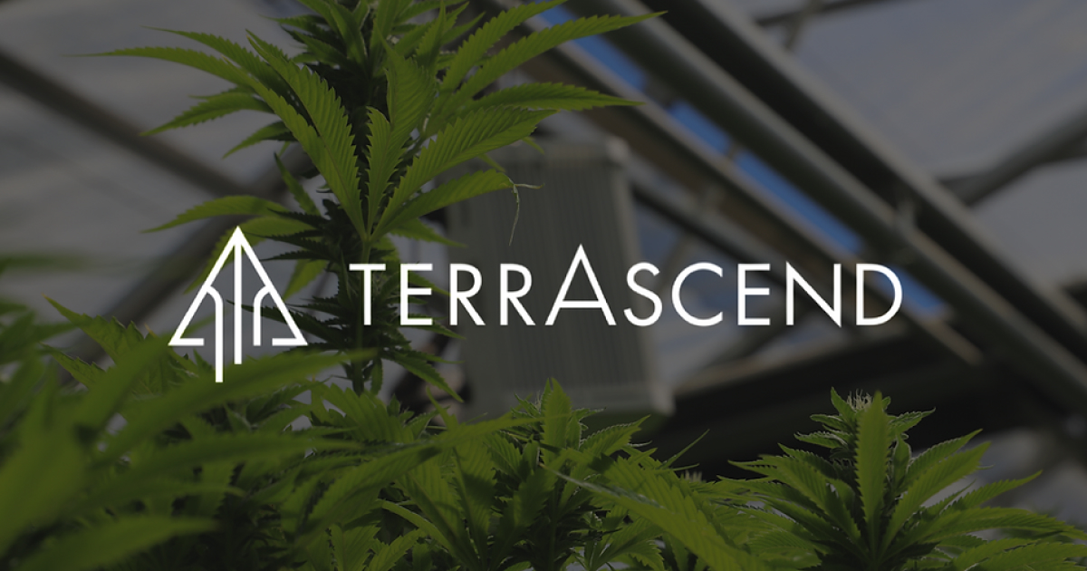 STA Research Upgrades TerrAscend Corp.(TER:CNSX) to a Strong Buy rating