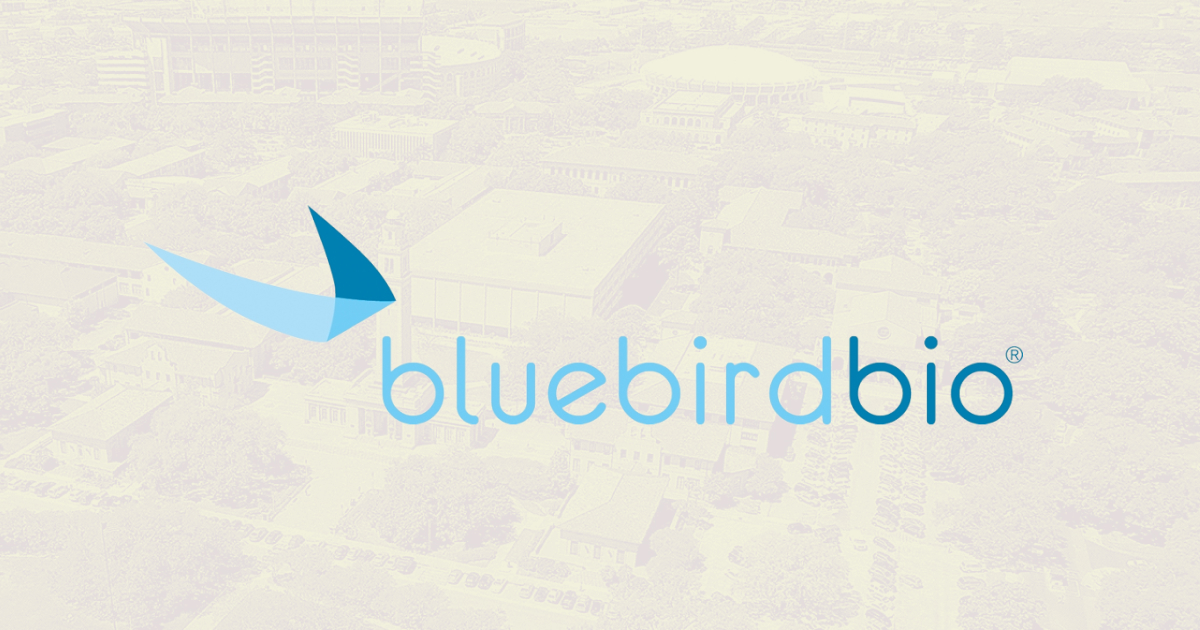 Bluebird stock forecast