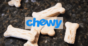 Is Chewy Stock the Perfect Investment for 2024? Investors Alert