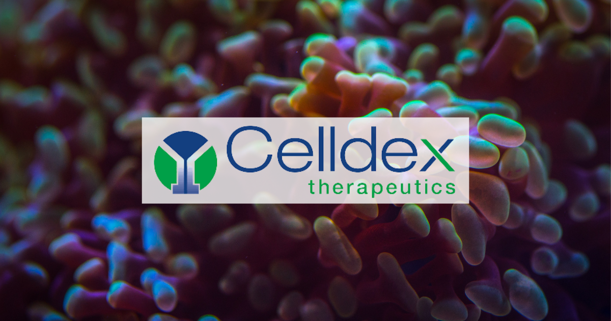 Celldex Stock