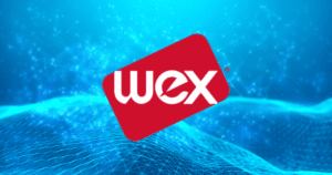 WEX Stock