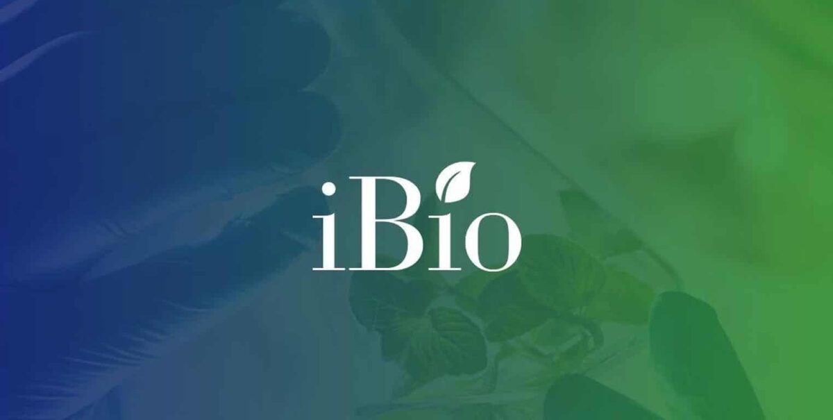 iBio Inc: Fundamental Stock Analysis is Bearish