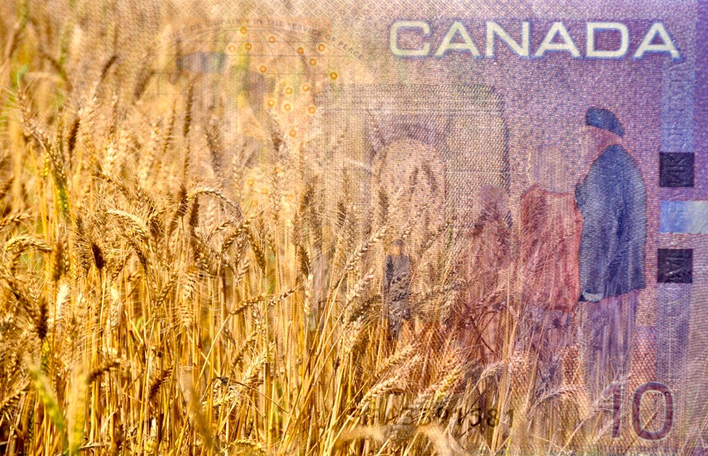 Market Hits All time High as Canadian Dollar Continues to Loose Value