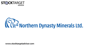 NDM:CA Stock Forecast & Earnings Insight: Can the Momentum Continue in 2025?