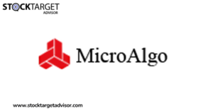 MicroAlgo Stock Forecast: Boom or Bust After 455% Rally?